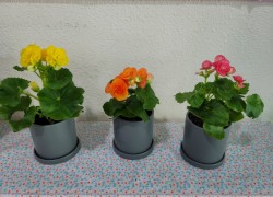 20201030_114011.jpg